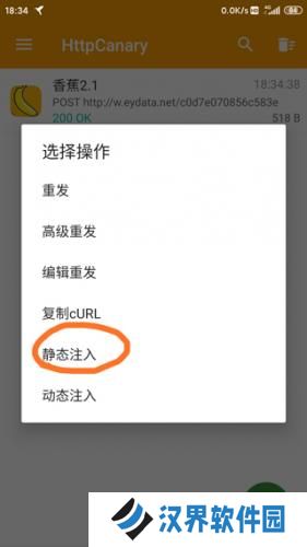 小黄鸟抓包