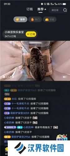 街猫