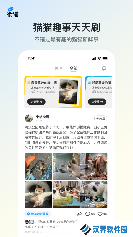 街猫