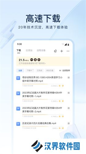迅雷铂金版