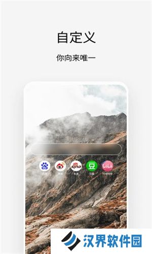 via浏览器安装包