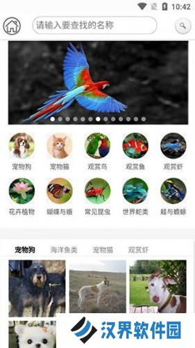 识万物