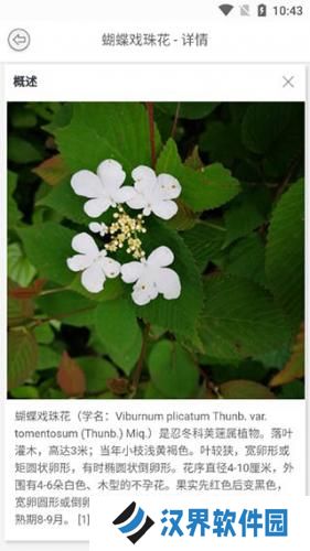 识万物