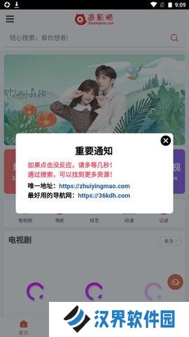 追影猫