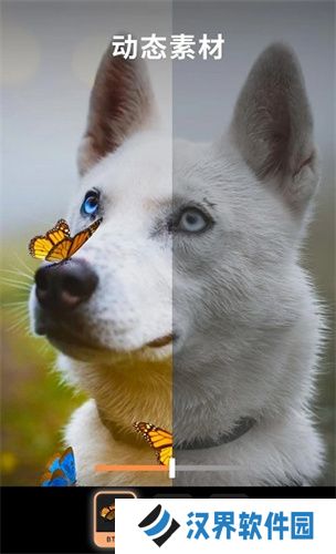 Motionleap安卓版